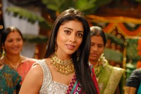 Shriya Beautiful Photos